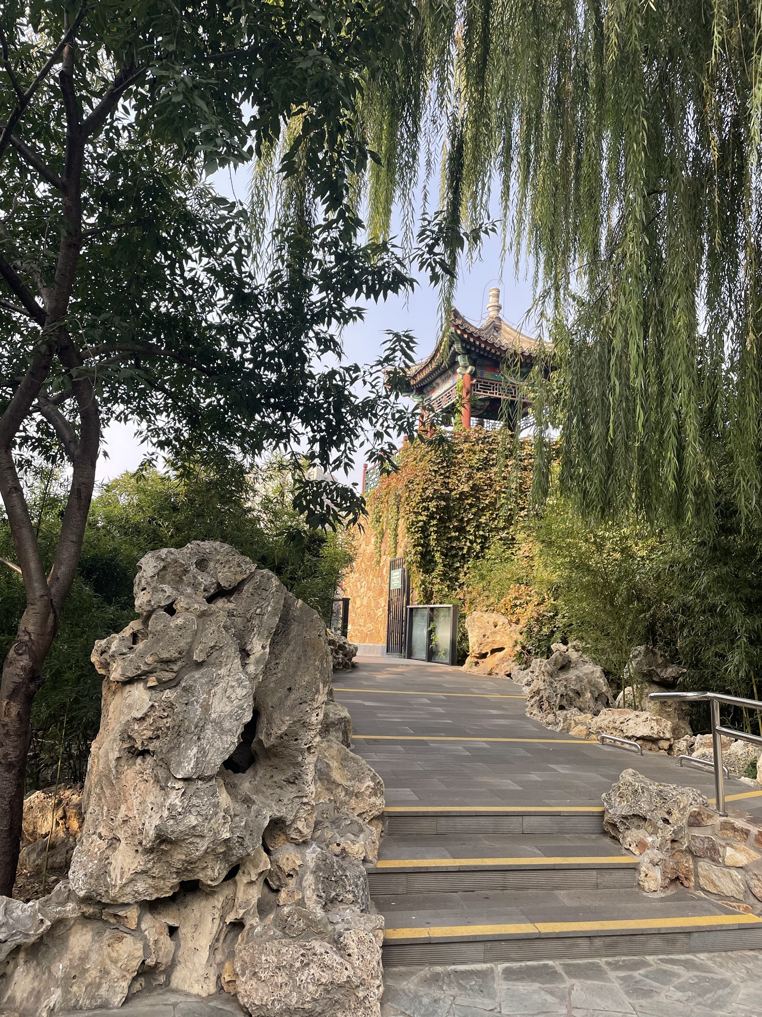 《重阳翌日紫竹院遛弯儿》