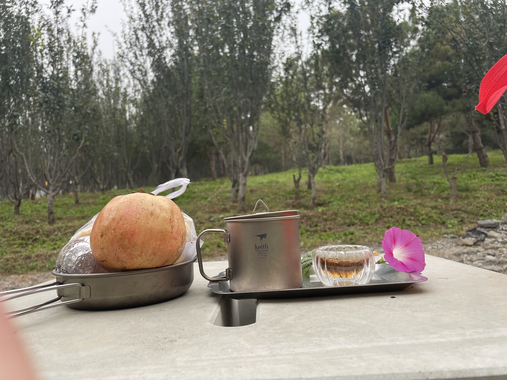 《一杯桂花敬金秋》